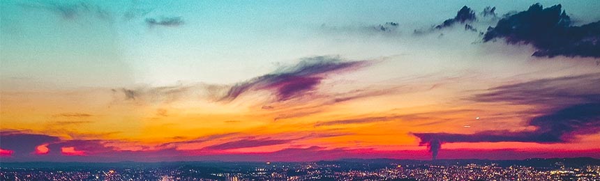 仁寿茶虫网_仁寿品茶